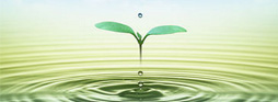 environment 